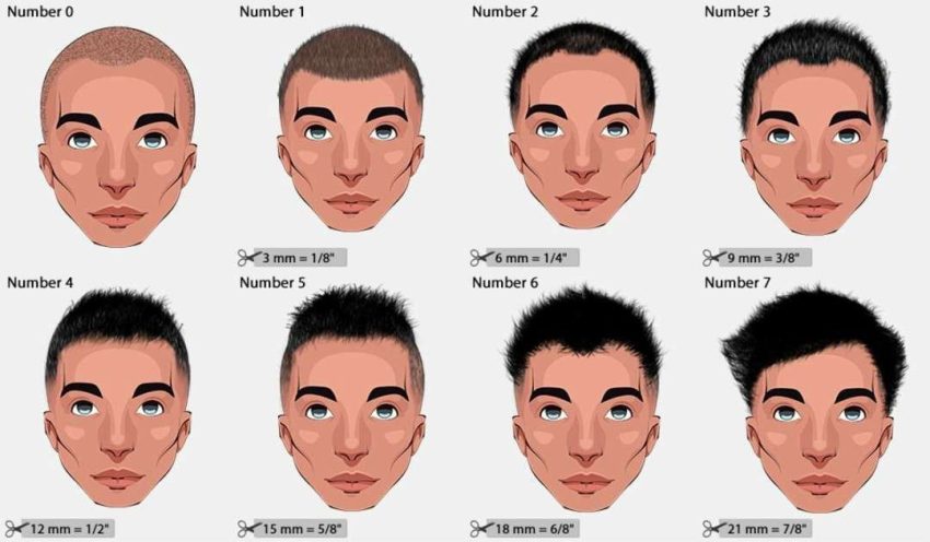 Number 7 Haircut Length